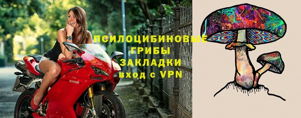 Альфа ПВП Баксан